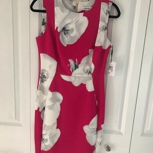 Calvin Klein sophisticated sheath dress